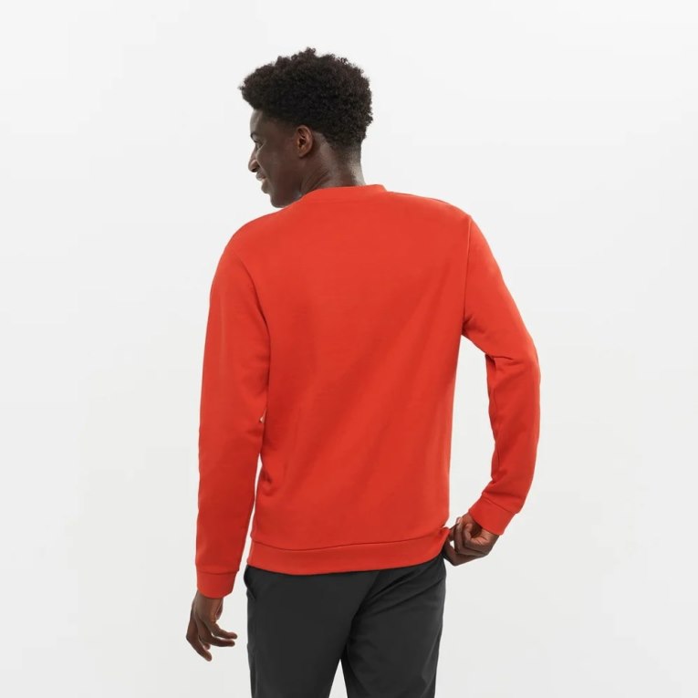 Orange Salomon Outlife Logo Summer Men's Sweatshirt | PH 26930J